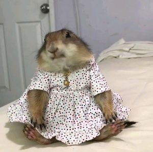 Meet your Posher, Kathya